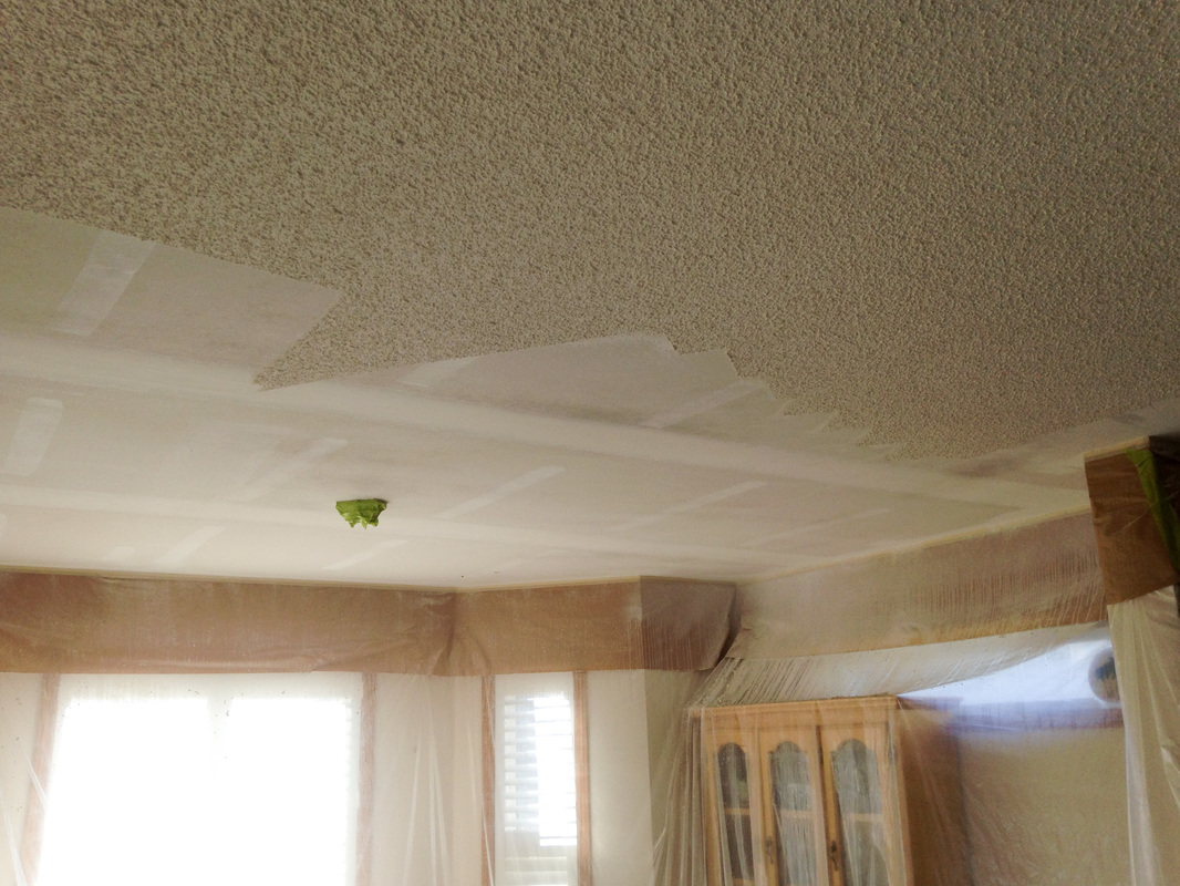 Ceiling Texture Removal